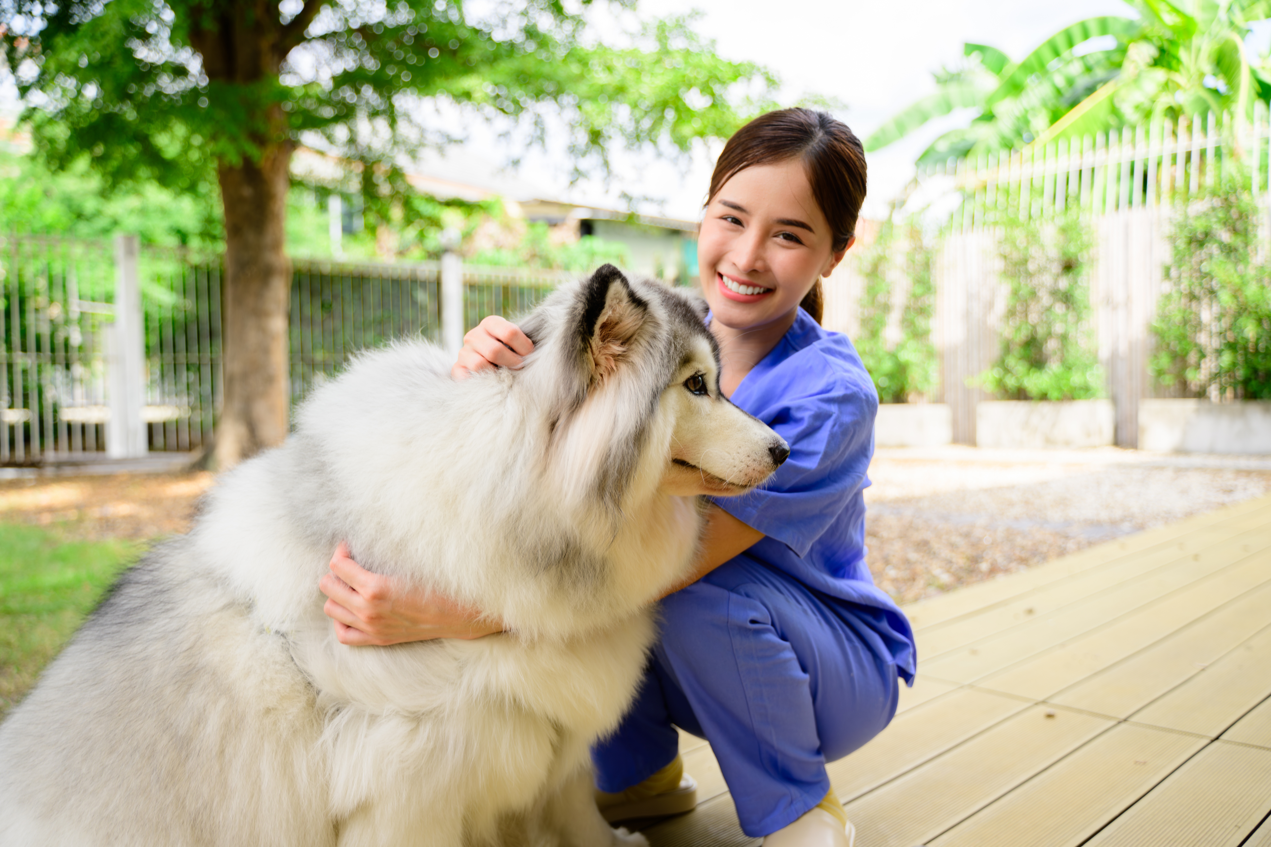 Vet hugging a dog outdoors