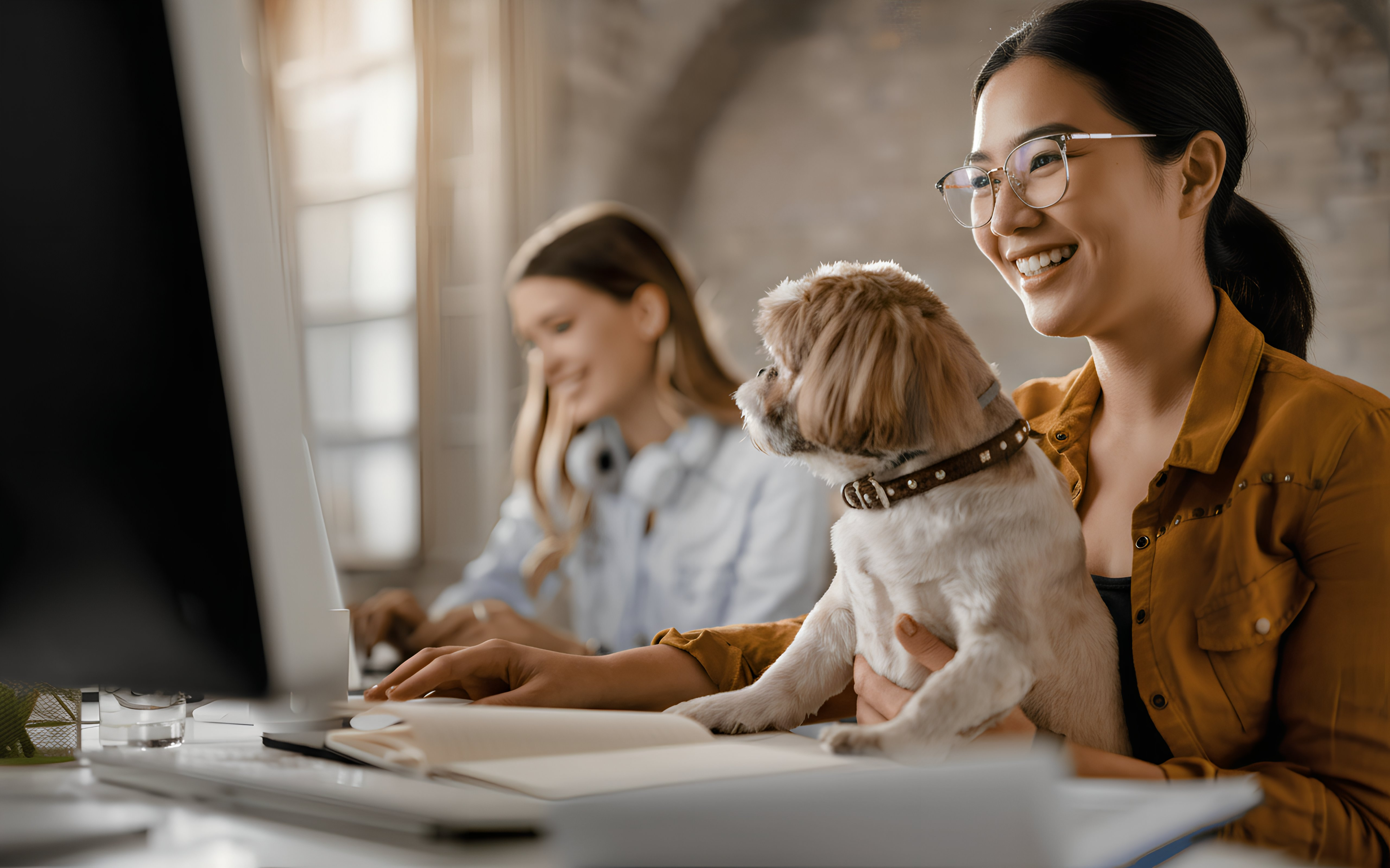 Finance & Accounting